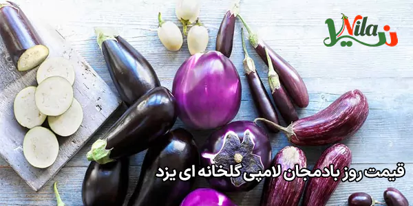 قیمت روز بادمجان لامپی گلخانه ای یزد
