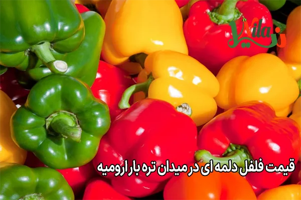 قیمت فلفل دلمه ای در میدان تره بار ارومیه
