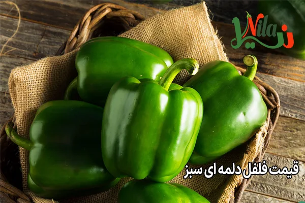 قیمت فلفل دلمه ای سبز