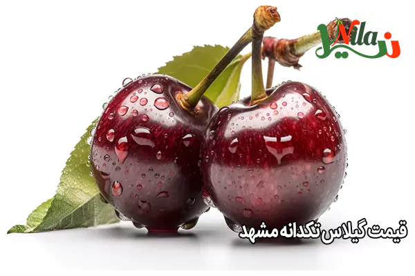 قیمت گیلاس تکدانه مشهد
