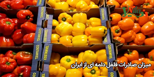 میزان صادرات فلفل دلمه ای از ایران