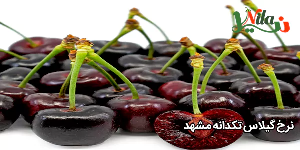 نرخ گیلاس تکدانه مشهد