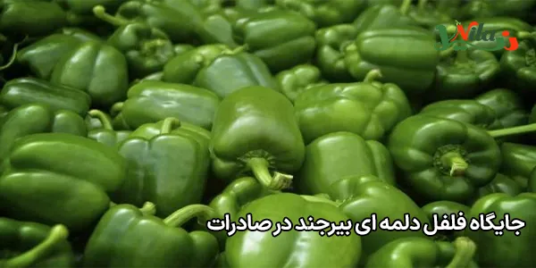 جایگاه فلفل دلمه ای بیرجند در صادرات