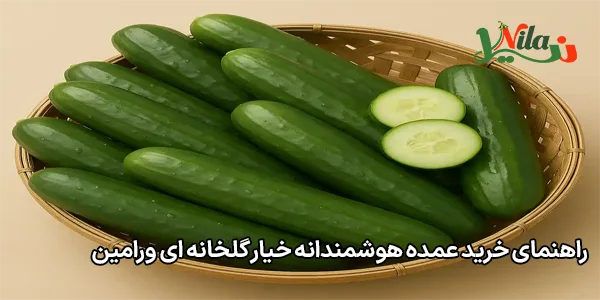 راهنمای خرید عمده هوشمندانه خیار گلخانه ای ورامین
