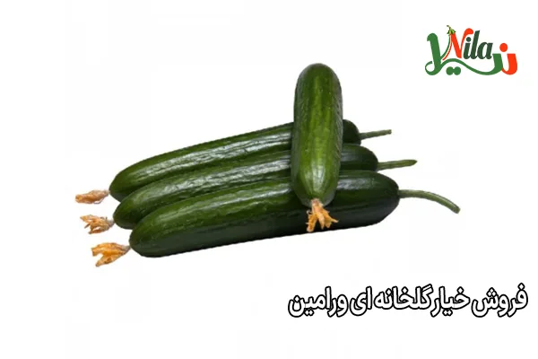فروش خیار گلخانه ای ورامین
