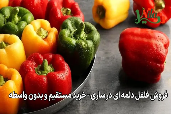 فروش فلفل دلمه ای در ساری - خرید مستقیم و بدون واسطه