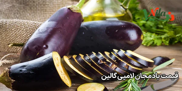 قیمت بادمجان لامپی گالین